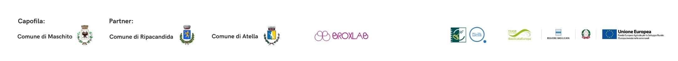 Stringa Festa Dell'Emigrante