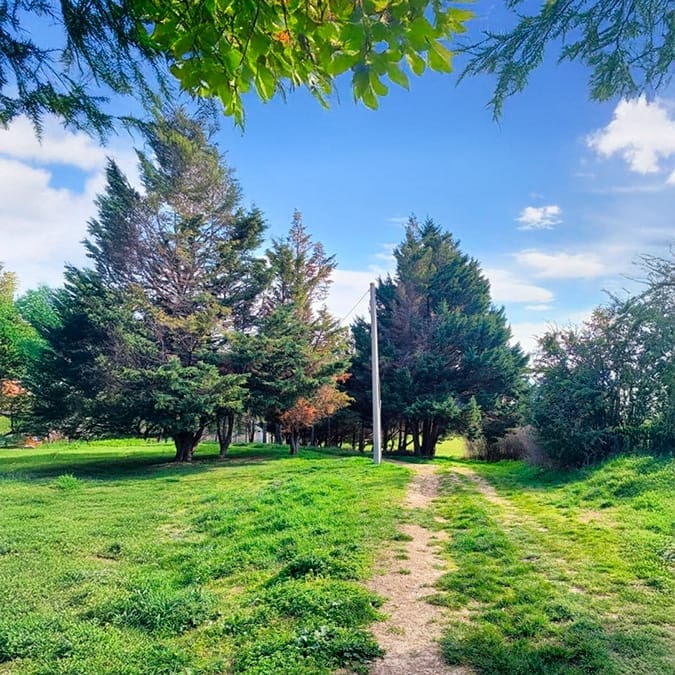 Area_verde_Via_Neviera-5